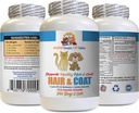 Cat Skin och Coat Treat - Husdjur Hår och Coat Boost - för hundar och katter - Stöder Hälsosamma hudhår Naglar - Vitamin Supplement för katter - 1 flaska (60 tabletter)