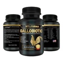 Gallobiotisk naturlig multivitamin för Rooster, Hens - 100 tabletter | Vitamina Completas para Gallos