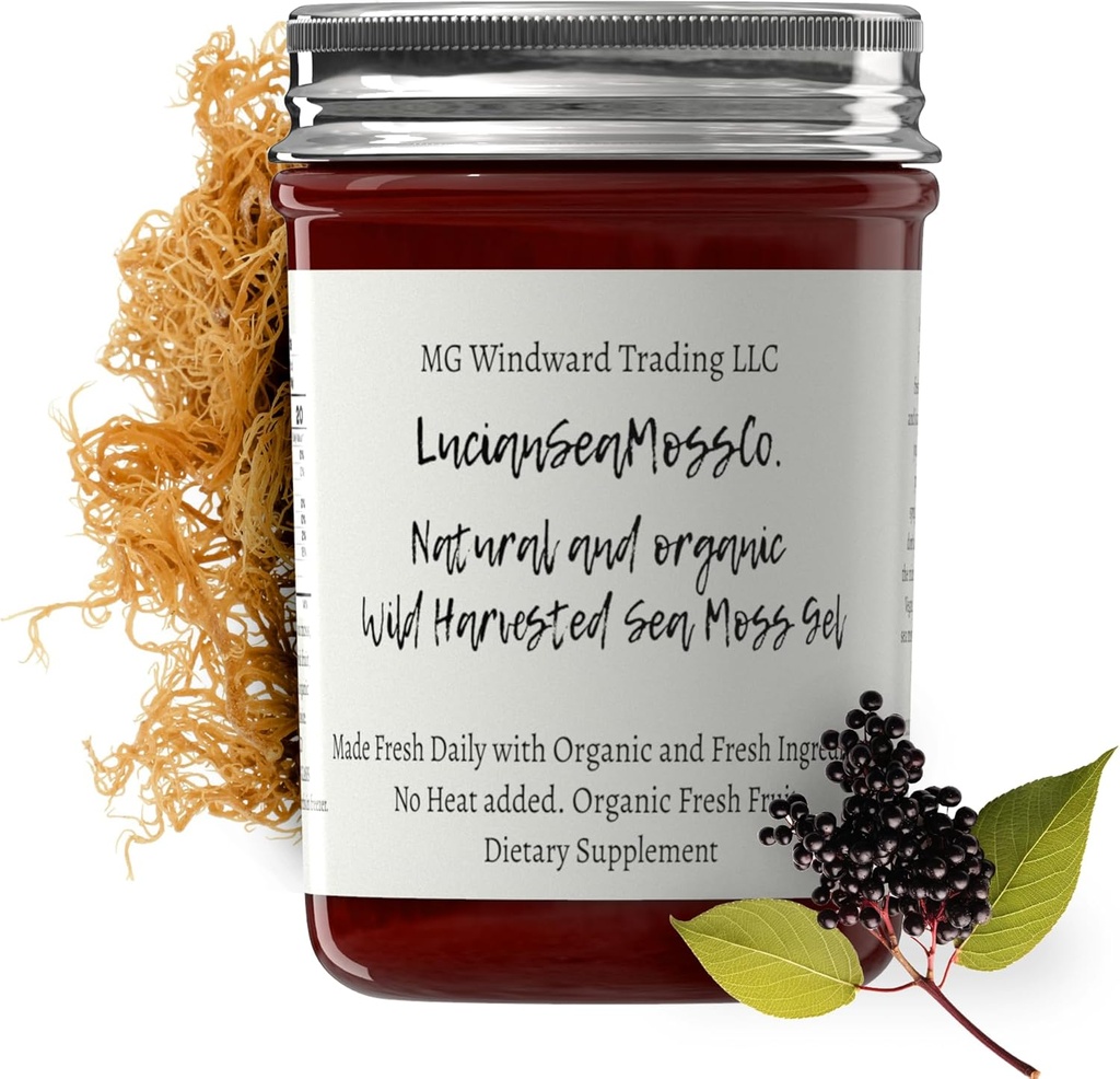 Dr Sebi Inspired Alkaline Organic Fresh Elderberry Ginger Sea Moss Gel - Naturliga väsentliga vitaminer, mineraler Plus Antioxidanter Wild Harvested från Saint Lucia (8 oz.)