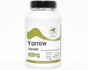 Järnblomma 900mg - 200 kapslar - Inga tillsatser