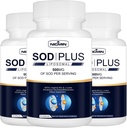 Superoxid Dismutase Supplement 500mg - SOD Plus med Liposomal Glutathione, AKG, Green Tea Extract, L-Arginine, Lysine, Resveratrol och Vitamin E för Immune Support, Antioxidant 180 kapslar