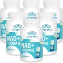 Liposomal NAD + Tillägg 1000 mg | Högsta NAD Pontecy | Max Absorption | Pure NAD Supplement | Energy and DNA Repair, Aging Defense, Brain Function | 360 Softgels