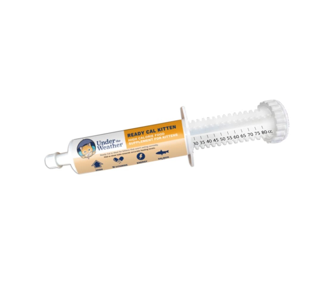 Under Weather Pet | Redo Cal för Kitten | High Calorie Pet Nutritional Supplement för viktökning och hälsosam vikt Underhåll | 10 Vitaminer, 7 Minerals, Omega Fatty Acids & Carbohydrates | 80cc