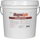 MagnaLyte Loose Salt och Electrolytes för hästar av Eagle Equine | Mineral Sea Salt, Trace Minerals, Electrolytes | 20 pund Bucket