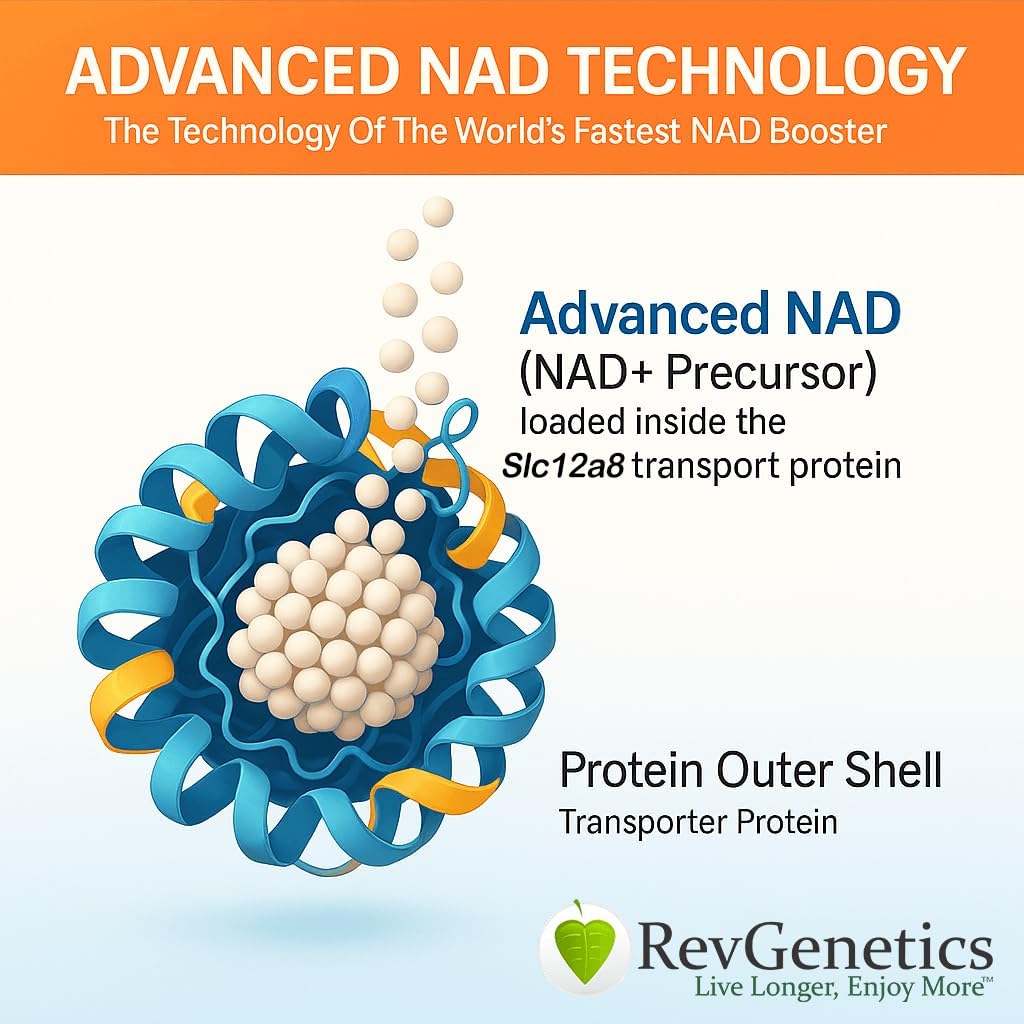 REVGENETICS Advanced NAD+ Supplement, 60 Capsules - Kosttillskott för hälsosam åldrande och livslängd