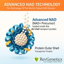 REVGENETICS Advanced NAD+ Supplement, 60 Capsules - Kosttillskott för hälsosam åldrande och livslängd