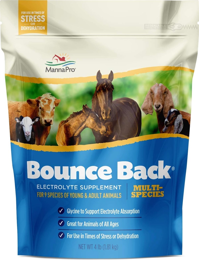 Manna Pro Bounce tillbaka, 4 lb