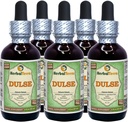 Dulse (Palmaria Palmata) Glycerite, Organic Dried Leaves Alcohol-Free Liquid Extract (Brand Name: HerbalTerra, Proudly Made in USA) 5x2 fl.oz (5x60 ml)