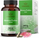 HERBAMAMA Mimosa Pudica Seed Capsules - 1000mg Mimosa Pudica Extract Powder för Digestive Cleanse & Detox - Vegan, icke-GMO Digestive Support Supplement, 100 Caps