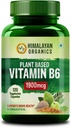 Plantbaserad vitamin B6 stöder immunitet, hjärnhälsa (120 kapslar)