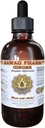 Hawaii Pharm Ginger Liquid Extract, Organic Ginger (Zingiber officinale) Tinkture Supplement 2 oz
