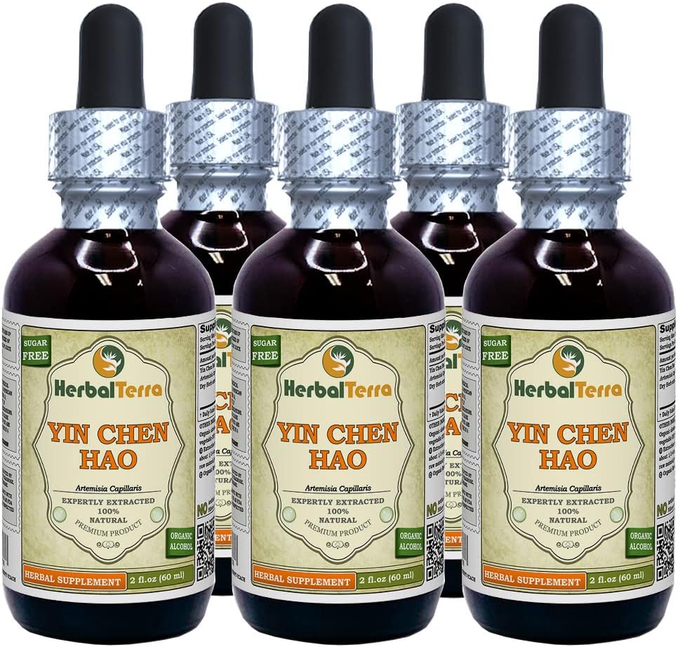 Yin Chen Hao (Artemisia Capillaris) Tinktur, Organic Dried Herb Liquid Extract (Brand Name: HerbalTerra, Proudly Made in USA) 5x2 fl.oz (5x60 ml)