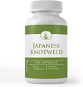 Rena originalingredienser japanska Knotweed (100 kapslar) Alltid rena, inga tillsatser eller fillers, Lab Verified