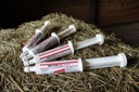 Andas O'2 4 -Pack (8 doser) Pre-Race Paste för att stödja Lung / Airway funktion i hästar