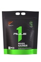 Regel 1 Proteins Mass Gainer - High-Calorie Weight Gain Formel med 1,220 + Kalorier, 250g + Complex Carb Blend, 40g All-Whey Protein Per Servering (16 portioner, Chocolate Fudge)