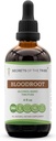 Secrets of the Tribe Bloodroot Alcohol Tincture Extract, Ansvarsfullt odlad Bloodroot (Sanguinaria Canadensis) Dried Root Tincture Supplement (4 fl oz)