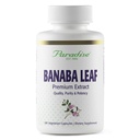 Paradise Herbs, Banaba Leaf, 12:1 Koncentrerad extrakt, 250 mg, Vegan, Gluten-Free, Non-GMO, 180 kapslar