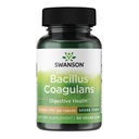 Swanson Bacillus Coagulans Spore-Form Probiotic för vuxna som söker Shelf-Stable Digestive Support med 6 miljarder CFU - Acid-Resistant (60 Vegan Capsules)