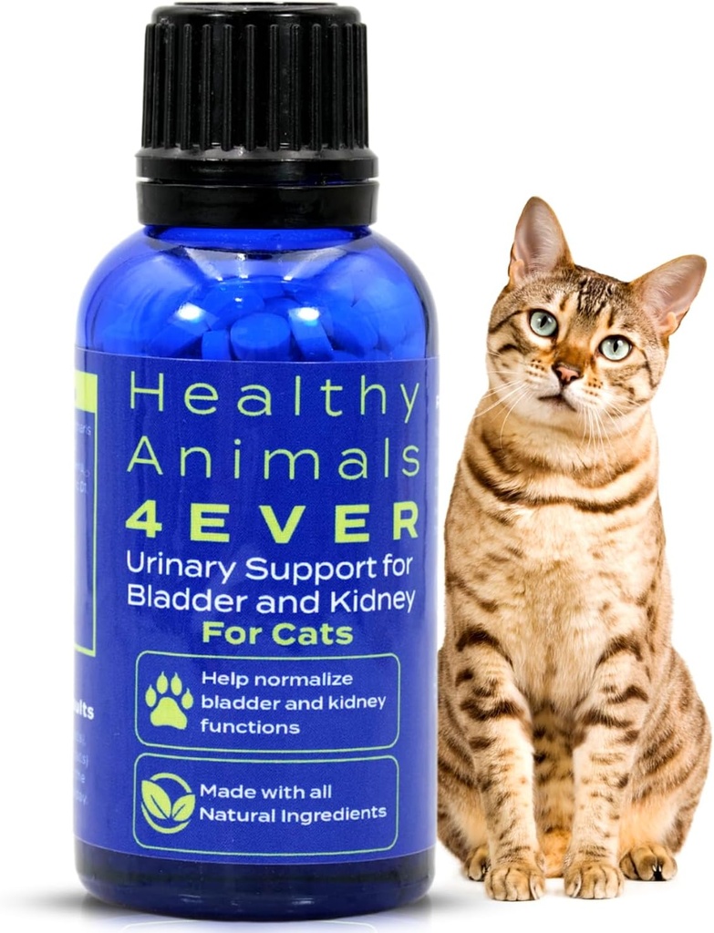 HA4E - Cat UTI Remedy - Natural Kidney Support för katter - Stöder Bladder & Urinary Health - Renal Cleanse - Non-GMO, Organic, Chemical-Free - 300 Tabletter