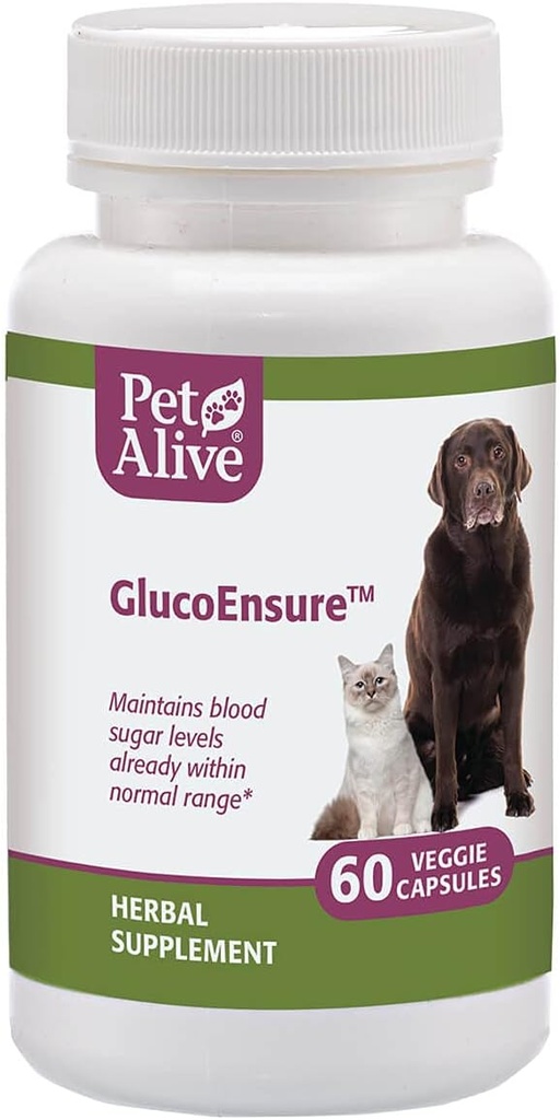 PetAlive GlucoEnsure - Allt naturligt växtbaserade tillskott för att upprätthålla blodsocker (glukos) nivåer redan i den normala randen i husdjur