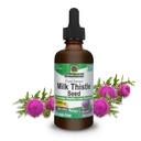 Naturens svarmjölk Thistle 2 Ounce Extract - Alcohol Free, Non GMO, Liver Support Supplement för alla - Liver Detox, Made in USA