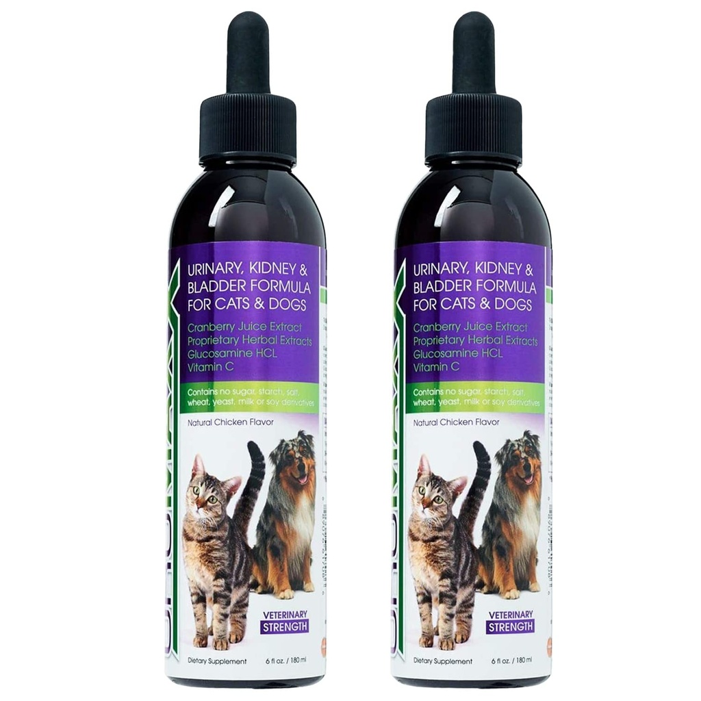 Cat & Dog Urinary Tract Treatment, Bladder & Kidney Support för hundar och katter, kraftfull men jämn Pet Care, med flytande tranbär & glukosamin, kyckling smak, 6 oz flaska, 2 Pack