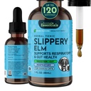 Animal Essentials Slippery Elm - Slippery Elm Bark Anti Diarrhea droppar för hundar och katter, organisk växtbaserade extrakt för hälsosam tarm, Digestive & Throat Support, hjälper till att accid reflux, flytande formel - 1 fl oz