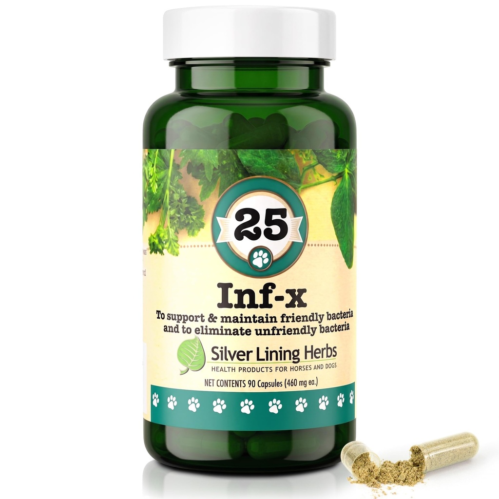 Silver Lining Herbs 25 Canine INF-X - Hjälper till att upprätthålla hälsosam matsmältningsnivåer - naturligt stöd för normal avgiftning - Herbal Health Supplement för hundar - 90 kapslar