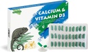Calcium Reptile Supplement med adderad vitamin D3, idealisk för skäggdrakar, sköldpaddor och mer