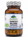 Ginkgo Biloba Capsules - Kosher Vegan Caps med 400mg Ginkgo Biloba Leaf och Ginko Extract Supplement