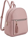 Montana West Girls Backpack Purse gåvor för barn Anti Stöldryggsäck med säker Zipper & Tassel