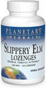 Planetära växtbaserade Slippery Elm Lozenges, Herbal Throat Support, 24 Lozenge