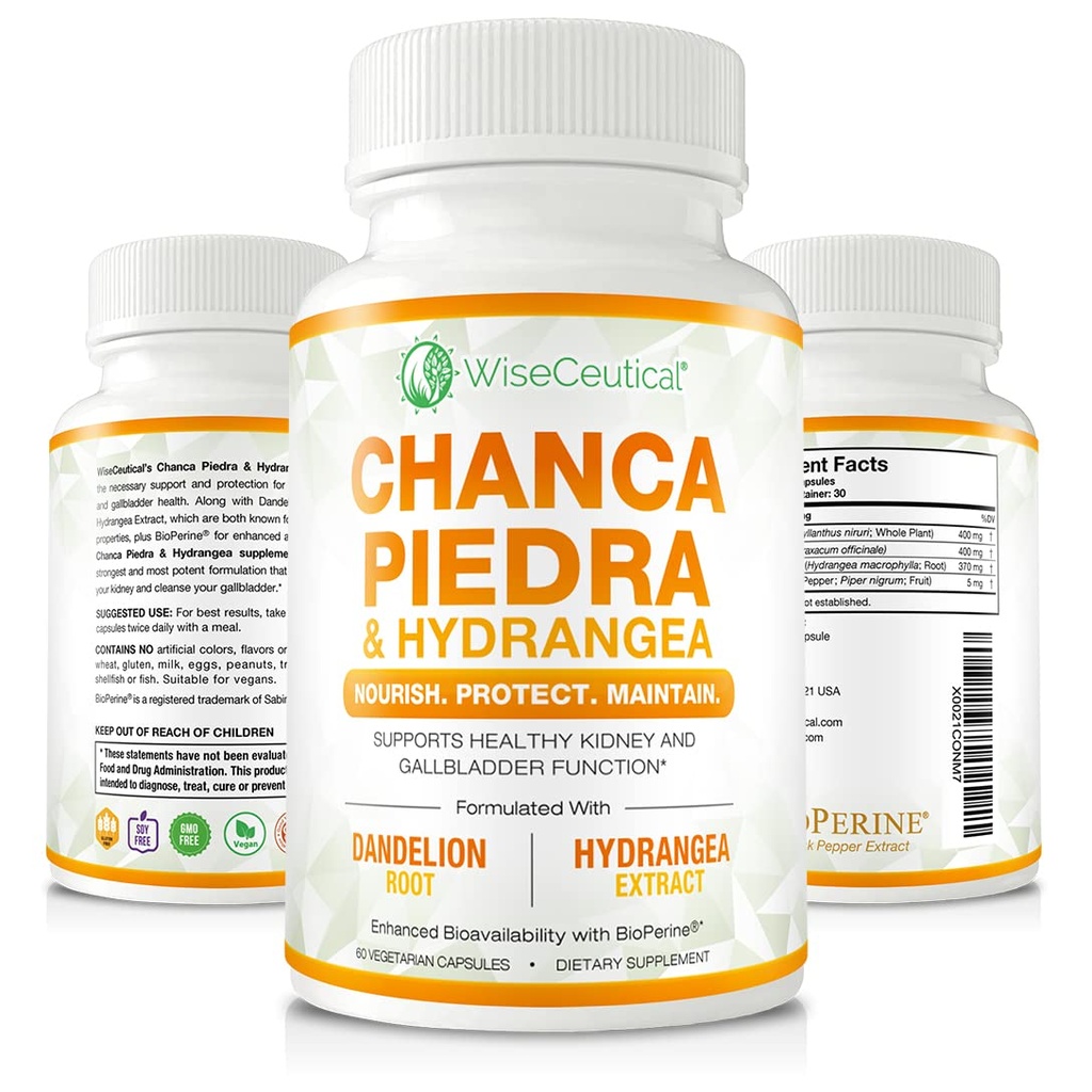 Max Strength Chanca Piedra, Hydrangea & Dandelion Root - Natural Kidney & Gallbladder Formel - Stone Breaker, Flush Impurities, Cleanse Urinary Tract - Förbättrad med BioPerine. 60 Veggie kapslar.