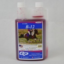 SU-PER B-12 Energy Horse Supplement - Equine Vitamins B-12 & B-9 Folic Acid Support Liquid - Red Blood Cell Production & Stamina Support för Peak Performance - Kvart, (2 Pack)