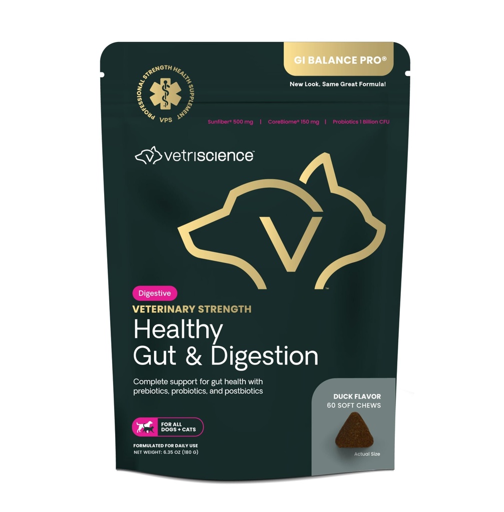 VetriScience Veterinary Strength Healthy Gut & Digestion - Pet Digestive Health Supplement för katter och hundar - Gut Health & Immune Support - Funktioner Probiotika, Prebiotika & Postbiotika - 60 Count
