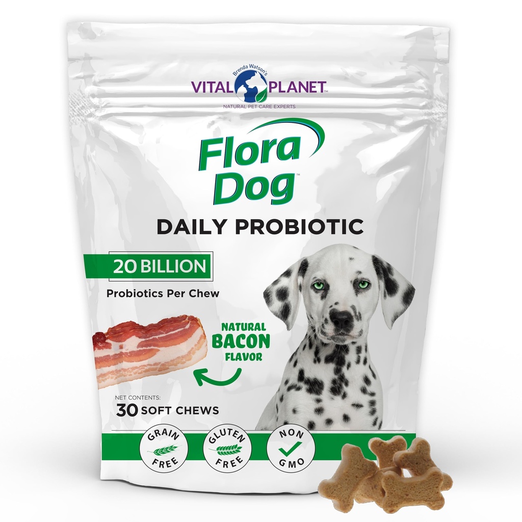 Vital Planet - Flora Dog Probiotics, Dog Chews Supplement med 20 miljarder kulturer och 11 stammar, Immune och Digestive Support Chewable Probiotics for Dogs, 30 Natural Bacon Flavored Soft Chews