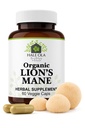 Lions Mane Supplement Capsules - Non-GMO & Kosher Certified Lions Mane Mushroom Capsule för kognitiv funktion, Nerve Health, hjärncelltillväxt, förbättra fokus & minne - 60 kapslar