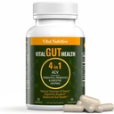 Vital Gut Health 4in1 Formel med Apple Cider Vinegar, Prebiotics & Probiotika, Digestive Enzymes för stark immunitetssupport och komplett Gut and Digestion Support