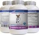 Digestive Defense for Dogs - PROBIOTICS for Dogs - Healthy Gut - Stop Gas Diarrhea and Bad Breath - Digestive Boost - Dog probiotika tuggables Organic - 1 Bottle (60 Treats)
