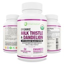Max Absorption USDA Organic Milk Thistle Potent 5: 1 Koncentrerad extrakt (2000mg Styrka) & Organic Dandelion Root | Silymarin Antioxidant Flavonoid | Lever Support Supplement (60 greve av 1)