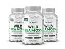 Organics Ocean Wild Sea Moss Capsules - 100% Organic Irish Sea Moss med Organic Chlorella, Bladderwrack och vitamin D för energi, Lung Health och Thyroid Support för kvinnor och män - 3 flaskor