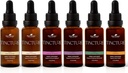 Plantterapi Organiska tinkturer Nybörjare Set 30 ml Var och en av Organic Ashwagandha, Asian Ginseng, Echinacea Blend, Elderberry, Lemon Balm & Turmeric