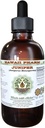 Juniper Alkoholfri flytande extrakt, organisk Juniper (Juniperus Monosperma) Torkade Berry Glycerite Hawaii Pharm Natural Herbal Supplement 4 oz