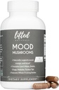 Mood Mushrooms - Lifted Mushroom Supplement - Lion's Mane, Reishi, Chaga, Turkiet Tail, Maitake - Energi, fokus, stressavlastning