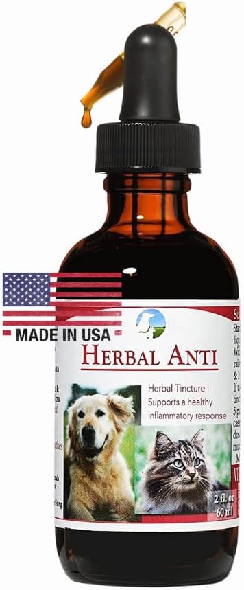 Vitality Science Herbal Anti for Cats and Dogs | Plant Based | GI Tract + Colon Health Supplement (0.5 oz)