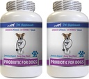 Dog Digestive probiotics Restore - PROBIOTICS for Dogs - Healthy Gut - Stop Gas Diarrhea and Bad Breath - Digestive Boost - acidophilus for Dogs - 2 Bottles (120 Treats)