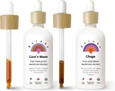 Rainbo Mushroom Bundle, Lion's Mane Mushroom Extract + Chaga Mushroom Tincture, Dual Extract Daily Mushroom Tinctures för omfattande immunstöd, Vegan Liquid Mushroom Supplements