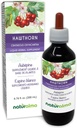 Naturalma Hawthorn (Crataegus oxyacantha) Leaf och Flower Alcohol-Free Tincture - 6,76 fl oz Liquid Extract i droppar - Herbal Supplement - Vegan