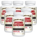 Liposomal Glutathione 2000 mg med L-Serine, L-Glycine & Sulforaphane - Aktiv L-Glutathione Unique Formulering för att förbättra Absorption - Master Antioxidant, Avgiftning & Immune | 360 Softgels