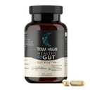 TERRA ORIGIN Healthy Gut Reset PM | 60 Veggie Capsules | Natursömnhjälpstillägg för Sleep & Wake Cycles | GABA, L-Tryptophan, Melatonin, L-Glutamin, Licorice Root, Slippery Elm Root
